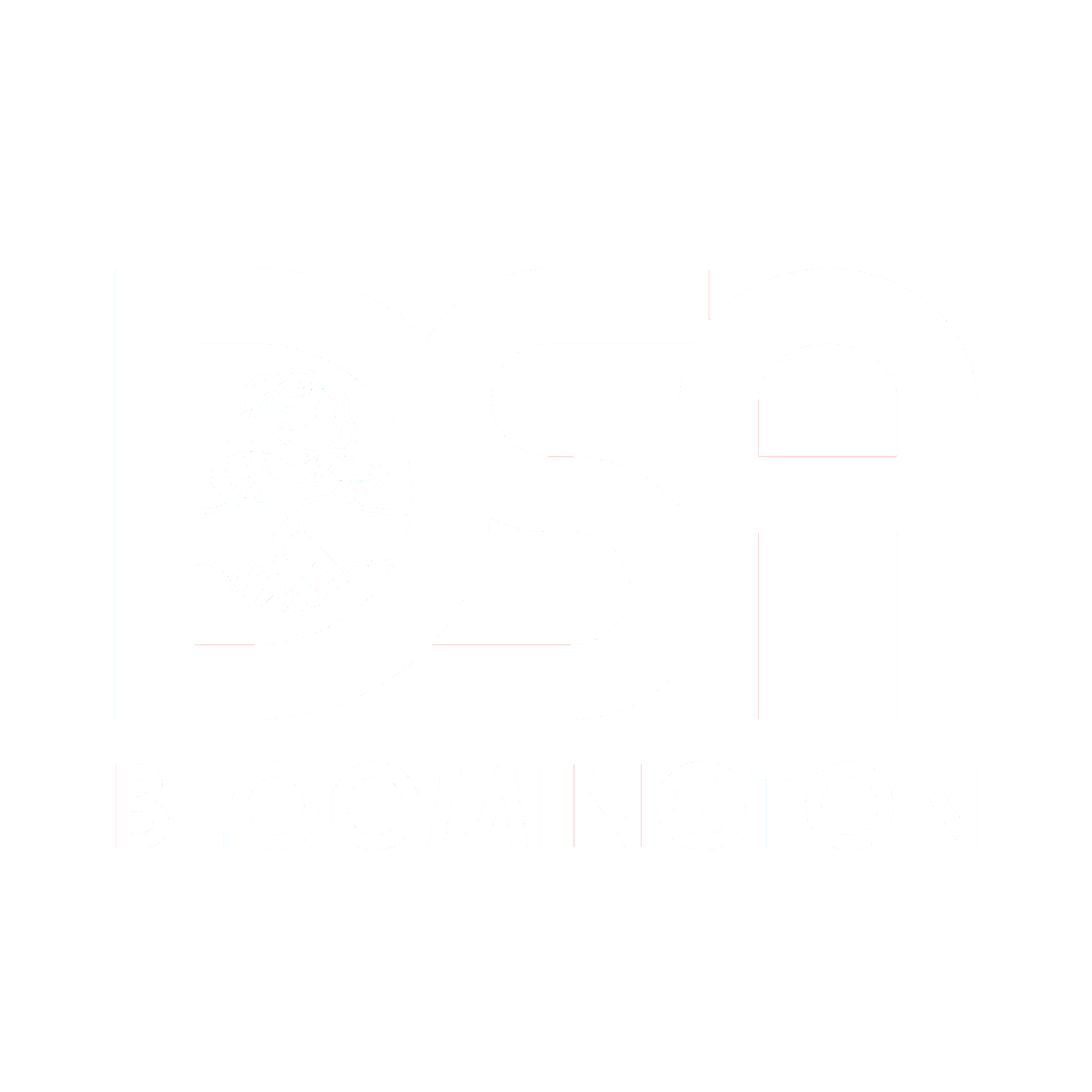 Bloomington DSA Logo with White text and a transparent background